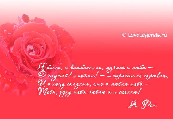 Я тебя люблю love is Я тебя люблю love is